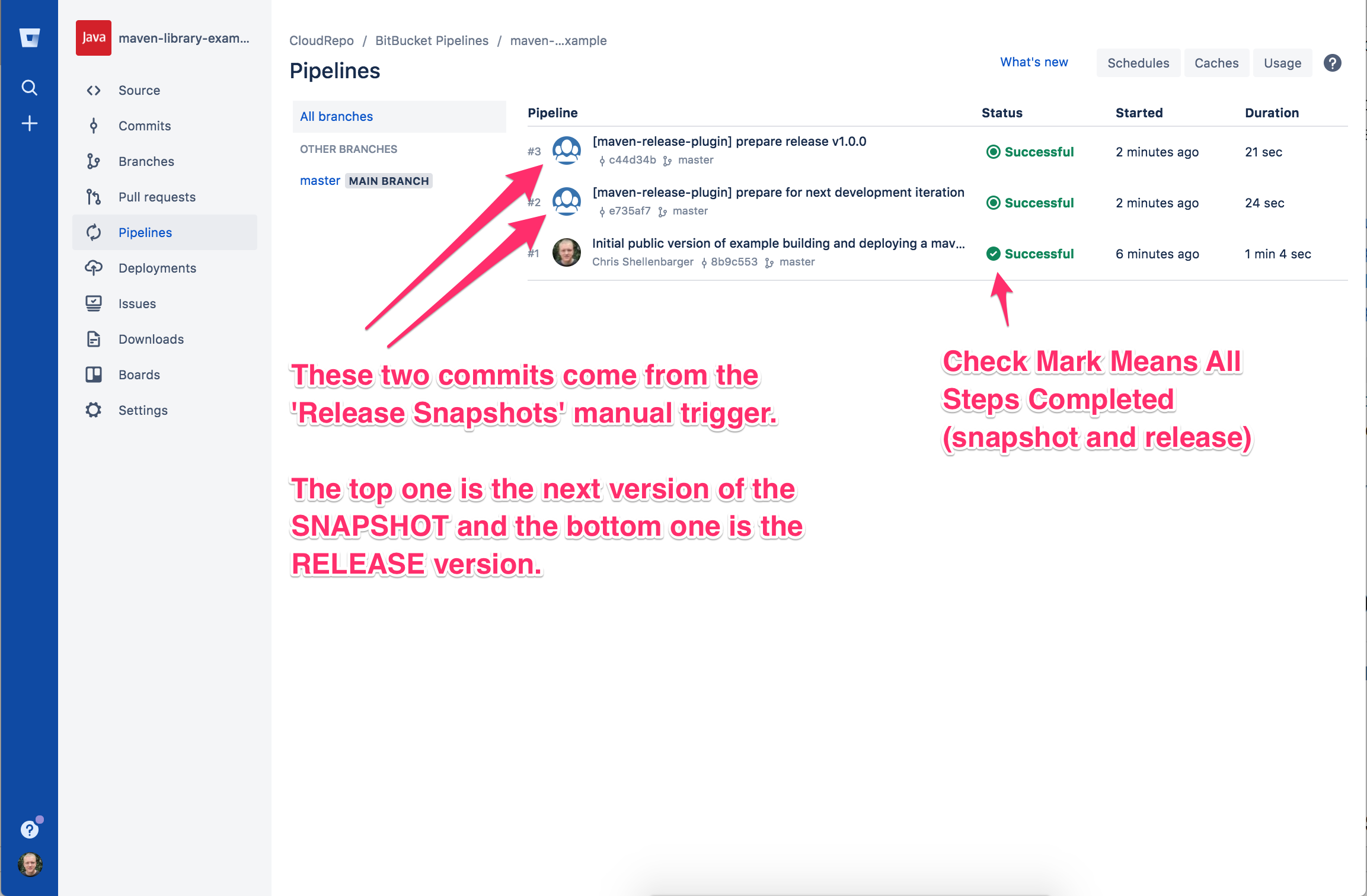 Viewing Bitbucket Pipeline Summary Status